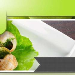 Les Escargots De Monsieur Devaux