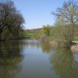 Les étangs De La Forêt De Bondy