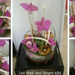 Les Fées Des Fleurs