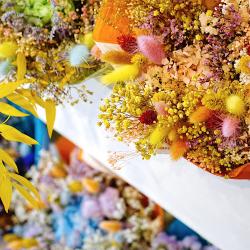 Les Filles Les Fleurs