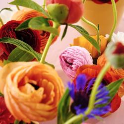 Les Filles Les Fleurs