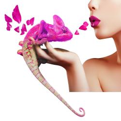 Les Fleuristes