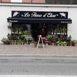 Les Fleurs D'elisa