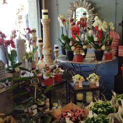 Les Fleurs D'inès