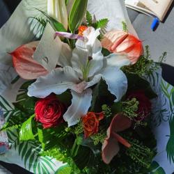 Les Fleurs De Camélias