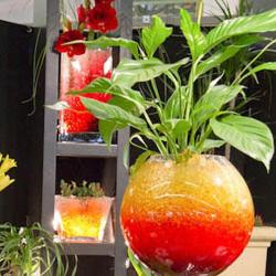 Les Fleurs De Marlotte