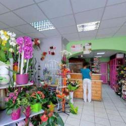 Les Fleurs De Roxane