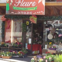 Les Fleurs De Vanoise