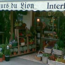 Les Fleurs Du Lion