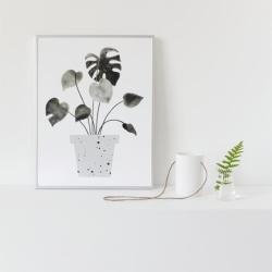 Les Fleurs Ld Deniset Lucie