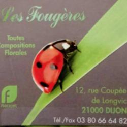 Les Fougères