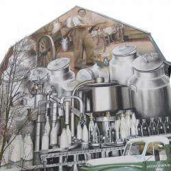 Les Fresques Murales