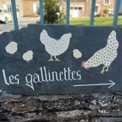 Les Gallinettes - Gîtes De France