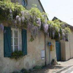 Les Glycines