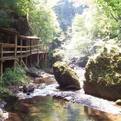 Les Gorges De La Jordanne