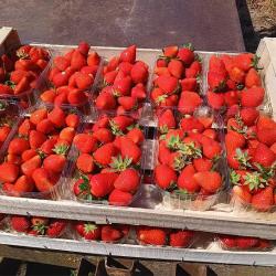 Les Gourmandises De Gy