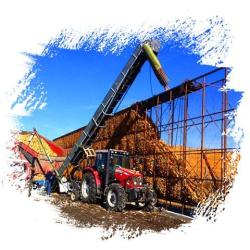 Les Grains D'agri