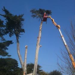 Les Grimpeurs De L'ouest