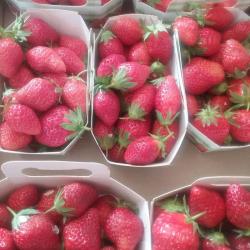Les Halles De Provence