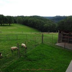 Les Hirondelles De Montsec - Gîtes De France