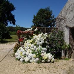 Les Hortensias - Gîtes De France