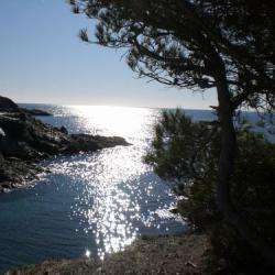 Les îles Du Gaou