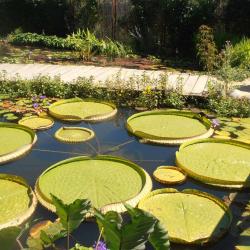 Les Jardins D'eau