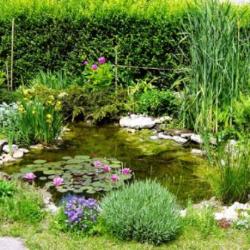 Les Jardins D'eausol