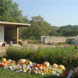 Les Jardins D'icare