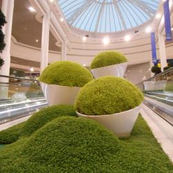 Les Jardins De Gally - Paysagiste - Nantes