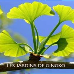 Les Jardins De Gingko