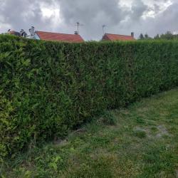 Les Jardins De J-b