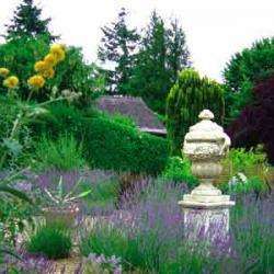 Les Jardins De La Mansoniere