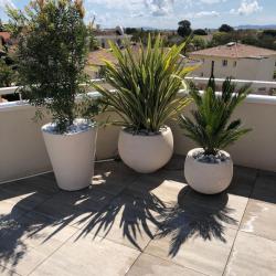 Les Jardins De Laurent