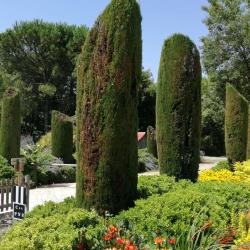 Les Jardins Des Martels