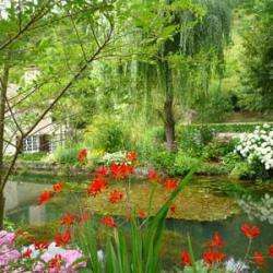 Les Jardins De Mon Moulin
