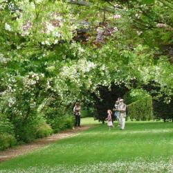 Les Jardins De Séricourt