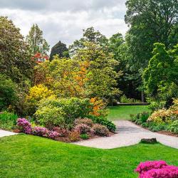 Les Jardins De Tony