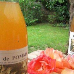 Les Jardins De Toucanne
