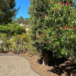 Les Jardins Du Poete