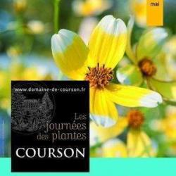 Domaine De Courson