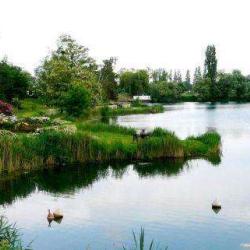 Les Lacs De L'essonne