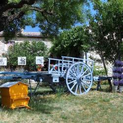Les Lavandes De Champelle