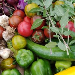 Les Légumes De Rétal