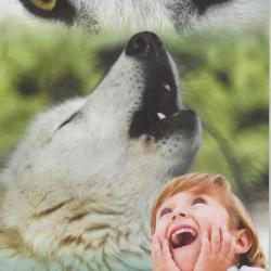 Les Loups Du Gevaudan