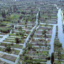 Les Marais De Bourges