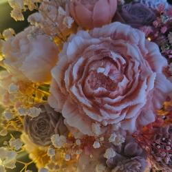 Les Merveilles De Dorine