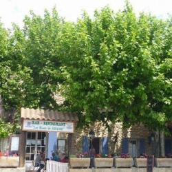 Les Monts De Savasse