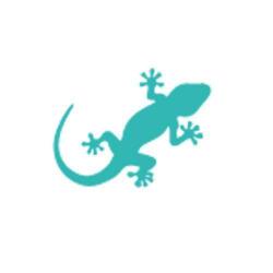 Les Mots De La Salamandre