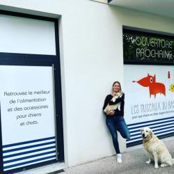 Les Museaux Du Bassin